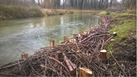 River Itchen  Terraqua Case Study Faggots