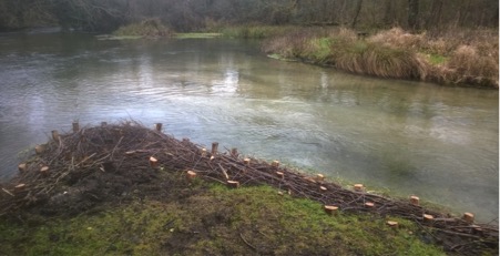 River Itchen Faggots case study by Terraqua ES