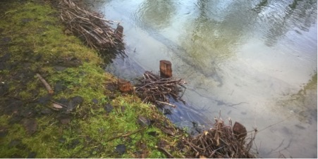 Teraqua River Itchen Faggots case study